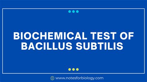 bacillus subtilis biochemical tests|7.1: Introduction to Biochemical Tests Part I .